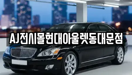 서울특별시 중구 필동3가 렌트카 전문 AJ전시몰현대아울렛동대문점