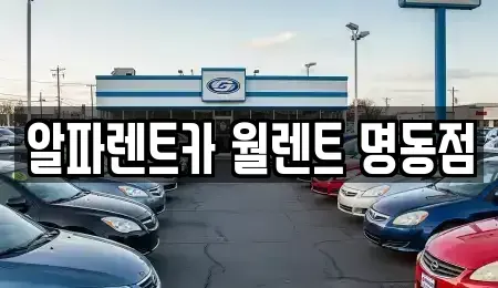 서울특별시 중구 필동3가 렌트카 전문 알파렌트카 월렌트 명동점