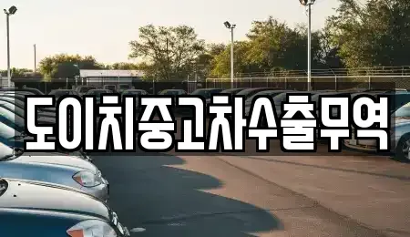 서울특별시 중구 필동3가 중고차매매 전문 도이치중고차수출무역