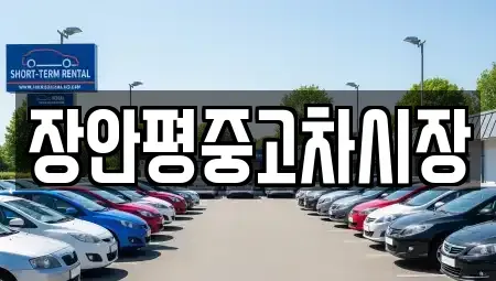 서울특별시 중구 필동3가 중고차매매 전문 장안평중고차시장