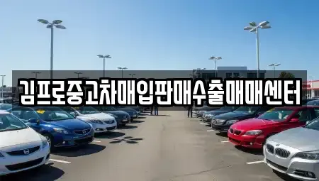 서울특별시 중구 필동3가 중고차매입 전문 김프로중고차매입판매수출매매센터