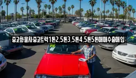 서울특별시 중구 필동3가 중고차매입 전문 중고화물차중고트럭1톤2.5톤3.5톤4.5톤5톤매매수출매입