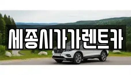 세종특별자치시 종촌동 단기렌트카 전문 세종시가가렌트카