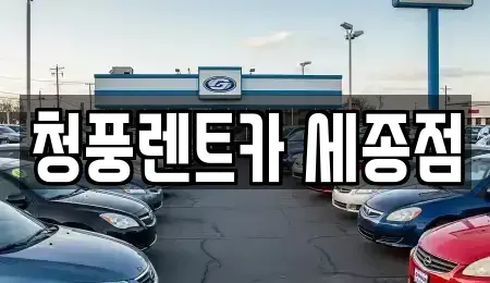 세종특별자치시 종촌동 렌트카 전문 청풍렌트카 세종점
