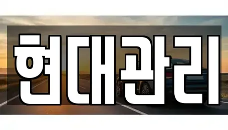 세종특별자치시 종촌동 렌트카 전문 현대관리