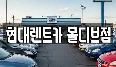 세종특별자치시 종촌동 렌트카 전문 현대렌트카 몰디브점