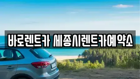 세종특별자치시 종촌동 장기렌트카 전문 바로렌트카 세종시렌트카예약소