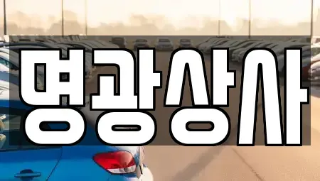 세종특별자치시 종촌동 중고차 전문 명광상사