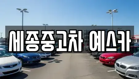 세종특별자치시 종촌동 중고차 전문 세종중고차 예스카