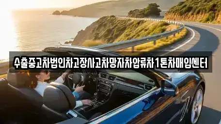 세종특별자치시 종촌동 중고차 전문 수출중고차법인차고장사고차망자차압류차1톤차매입센터