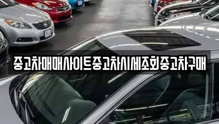 인천 남동구 논현동 중고차매매 전문 중고차매매사이트중고차시세조회중고차구매