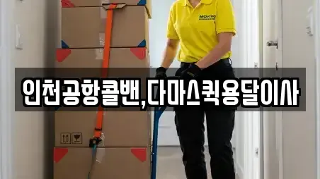 인천공항콜밴,다마스퀵용달이사