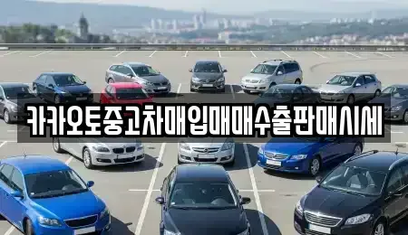 인천광역시 중구 신흥동1가 중고차매매 전문 카카오토중고차매입매매수출판매시세