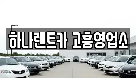 전남 고흥군 풍양면 렌트카 전문 하나렌트카 고흥영업소