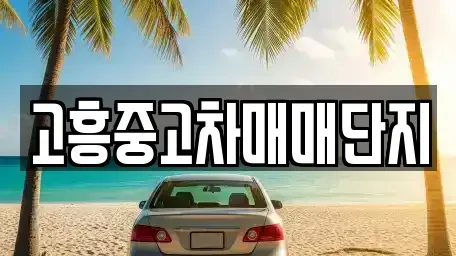 전남 고흥군 풍양면 중고차 전문 고흥중고차매매단지