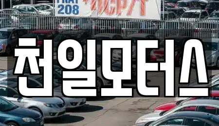 전남 고흥군 풍양면 중고차 전문 천일모터스