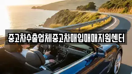 전남 고흥군 풍양면 중고차매입 전문 중고차수출업체중고차매입매매지원센터