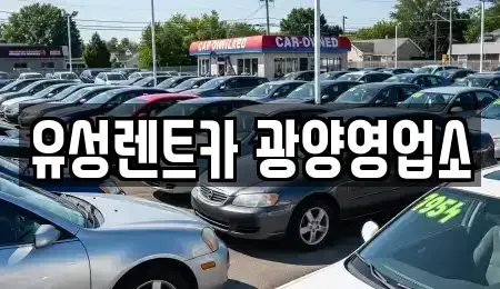 전남 광양시 옥룡면 렌트카,단기렌트카,장기렌트카,중고차,중고차매매,중고차매입