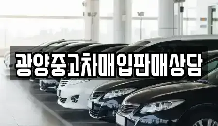 전남 광양시 옥룡면 중고차 전문 광양중고차매입판매상담