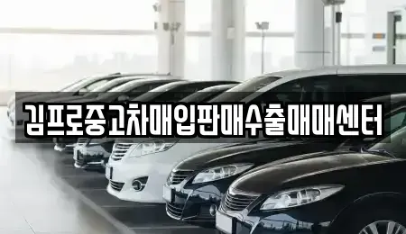 전남 나주시 산정동 중고차 전문 김프로중고차매입판매수출매매센터