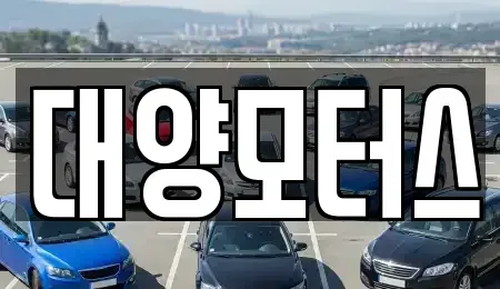 전남 나주시 산정동 중고차 전문 대양모터스