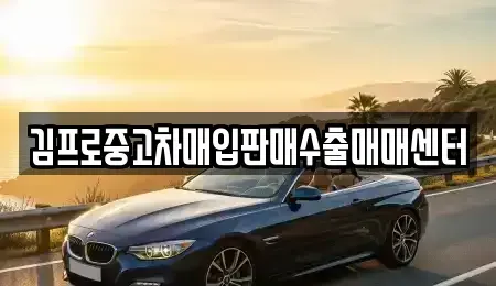 전남 목포시 북교동 중고차매입 전문 김프로중고차매입판매수출매매센터