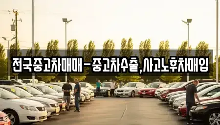 전남 목포시 중동1가 단기렌트카,중고차매입,중고차매매,중고차,렌트카,장기렌트카