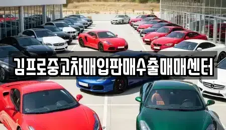 전남 영광군 중고차 전문 김프로중고차매입판매수출매매센터