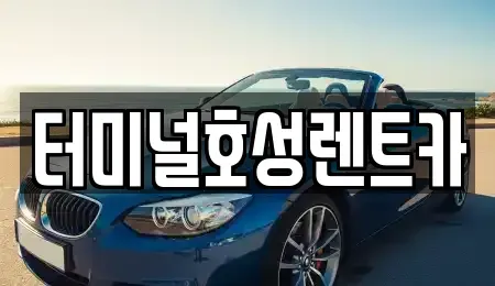 전북 익산시 목천동 렌트카 전문 터미널호성렌트카