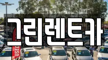 전북 전주시 완산구 중노송동 렌트카 전문 그린렌트카