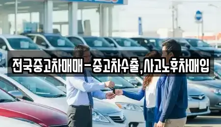 전북 전주시 완산구 평화동2가 중고차매매 전문 전국중고차매매-중고차수출,사고노후차매입