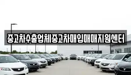 전북 전주시 완산구 평화동2가 중고차매매,단기렌트카,중고차매입,장기렌트카,중고차,렌트카