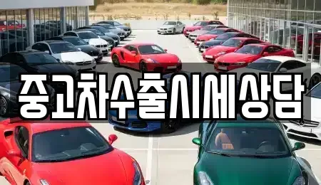 전북특별자치도 남원시 어현동 중고차 전문 중고차수출시세상담