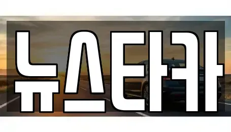 전북특별자치도 전주시 중고차 전문 뉴스타카