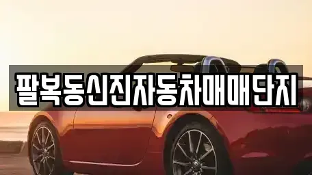 전북특별자치도 전주시 중고차 전문 팔복동신진자동차매매단지