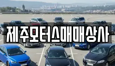 제주특별자치도 서귀포시 서호동 중고차매매 전문 제주모터스매매상사