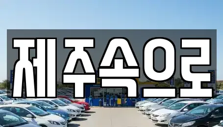 제주특별자치도 제주시 용담일동 렌트카 전문 제주속으로