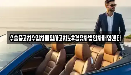 제주특별자치도 제주시 용담일동 중고차매매,단기렌트카,중고차매입,장기렌트카,중고차,렌트카