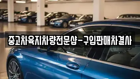 제주특별자치도 제주시 용담일동 중고차매매 전문 중고차육지차량전문샵-구입판매차결사