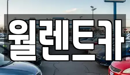 충남 당진시 송악읍 렌트카 전문 월렌트카