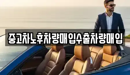 충남 보령시 청소면 렌트카,단기렌트카,장기렌트카,중고차,중고차매매,중고차매입