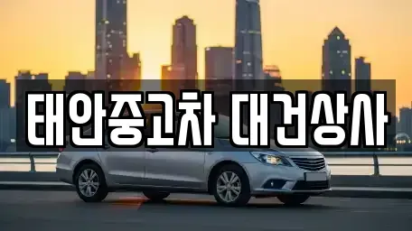 충남 태안군 중고차 전문 태안중고차 대건상사