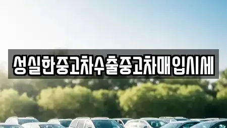 충북 진천군 문백면 중고차 전문 성실한중고차수출중고차매입시세