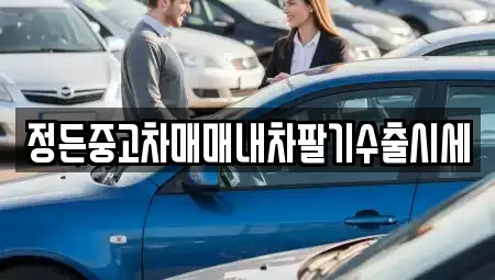 충북 진천군 문백면 중고차 전문 정든중고차매매내차팔기수출시세