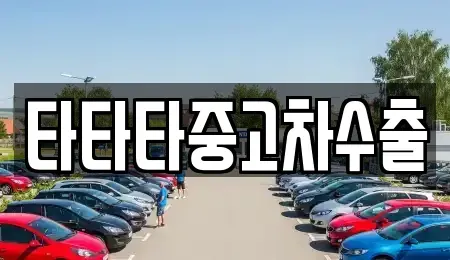 충북 진천군 문백면 중고차 전문 타타타중고차수출
