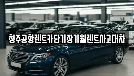 충북 청주시 흥덕구 신전동 렌트카 전문 청주공항렌트카단기장기월렌트사고대차