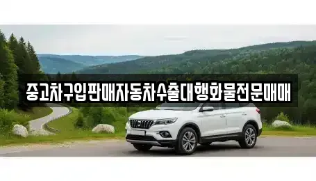 충북 청주시 흥덕구 신전동 중고차 전문 중고차구입판매자동차수출대행화물전문매매