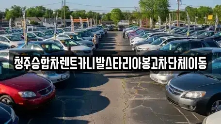 충북 청주시 흥덕구 옥산면 렌트카 전문 청주승합차렌트카니발스타리아봉고차단체이동