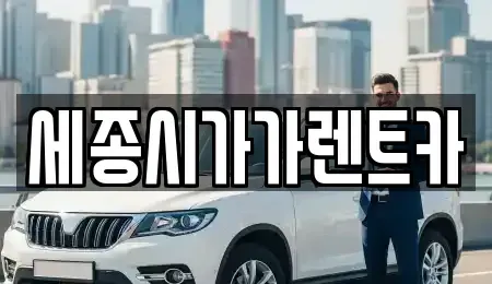 충청남도 공주시 단기렌트카 전문 세종시가가렌트카