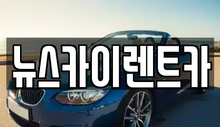 충청남도 공주시 신기동 렌트카 전문 뉴스카이렌트카